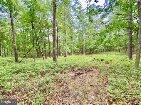 Lost River Ridge Circle, Wardensville, WV 26851