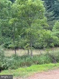 Off Rt. 259 Cove Mountain Road, Mathias, WV 26812