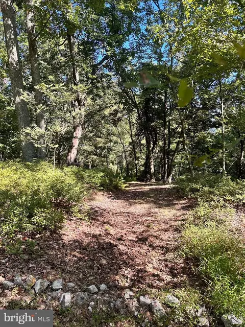 5592 High Knob Rd, Old Fields, WV 26845 photo 96