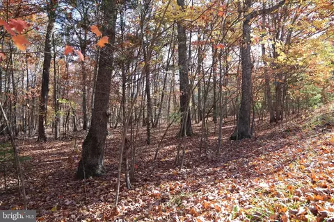 warden circle road LOT 10, Wardensville, WV 26851