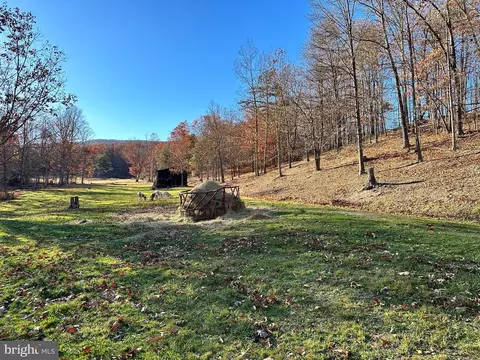 4515 Lower Arkansaw Rd, Baker, WV 26801 photo 80