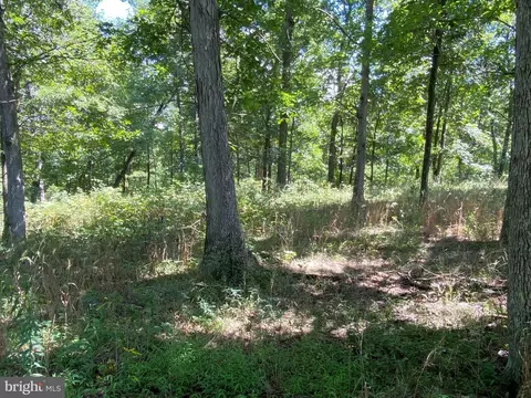22 Hickory Loop Dr, Old Fields, WV 26845 photo 23