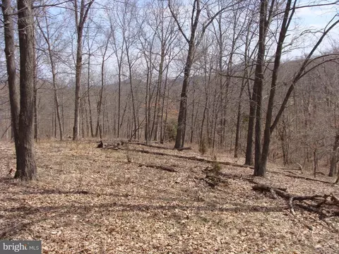 22 Hickory Loop Dr, Old Fields, WV 26845 photo 2
