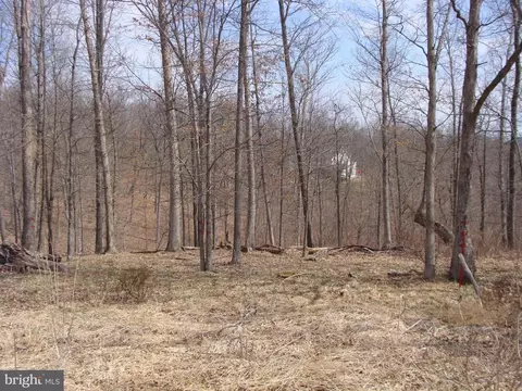 22 Hickory Loop Dr, Old Fields, WV 26845 photo 15