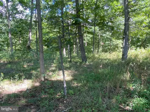 22 Hickory Loop Dr, Old Fields, WV 26845 photo 25