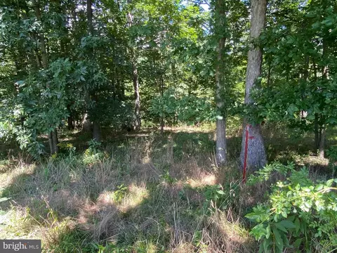 22 Hickory Loop Dr, Old Fields, WV 26845 photo 8