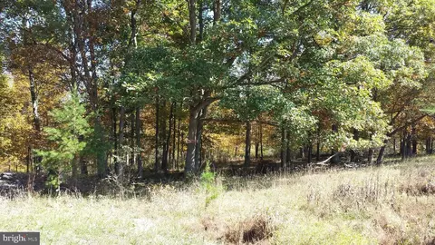 22 Hickory Loop Dr, Old Fields, WV 26845 photo 9