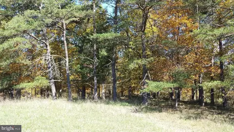 22 Hickory Loop Dr, Old Fields, WV 26845 photo 11