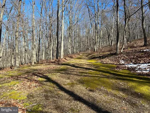 8 Dwf, Mathias, WV 26812 photo 29