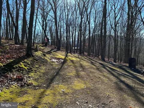 8 Dwf, Mathias, WV 26812 photo 30