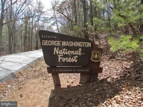 8 Dwf, Mathias, WV 26812 photo 45