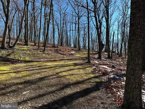 8 Dwf, Mathias, WV 26812 photo 27