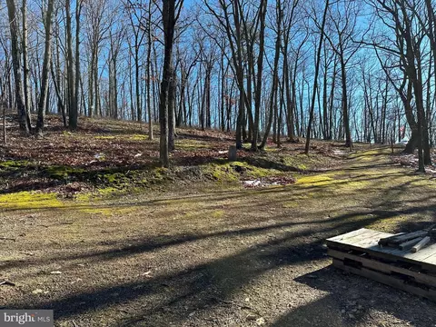 8 Dwf, Mathias, WV 26812 photo 22