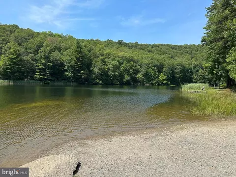 8 Dwf, Mathias, WV 26812 photo 53