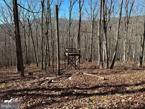 8 Dwf, Mathias, WV 26812 photo 16