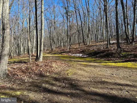 8 Dwf, Mathias, WV 26812 photo 24