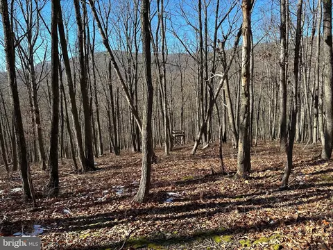 8 Dwf, Mathias, WV 26812 photo 17