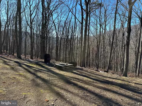 8 Dwf, Mathias, WV 26812 photo 18