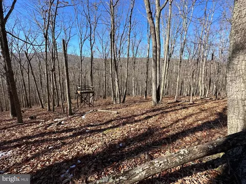 8 Dwf, Mathias, WV 26812 photo 28