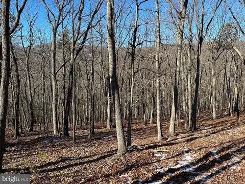 8 Dwf, Mathias, WV 26812 photo 19