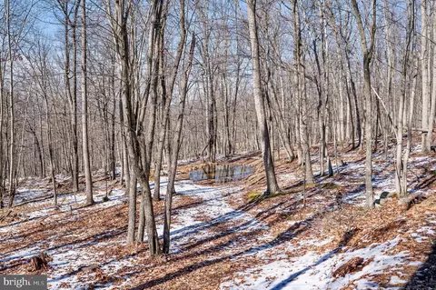 View/Area - 25 Red Maple Dr, Baker, WV 26801 photo 5 of 12