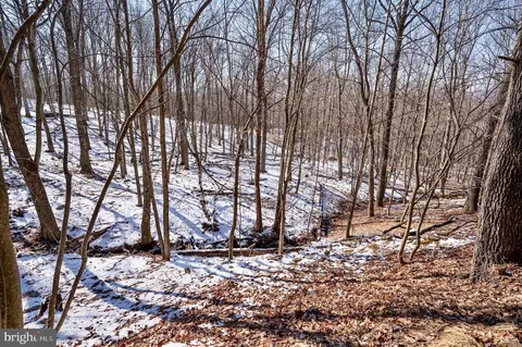 View/Area - 25 Red Maple Dr, Baker, WV 26801 photo 3 of 12