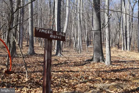 78 Timberline Drive, Lost City, WV 26810