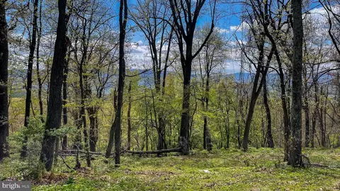Lot 19 High Knob, Old Fields, WV 26845 photo 5