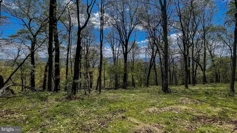 Lot 19 High Knob, Old Fields, WV 26845 photo 6