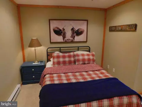 55 Hunter Ln, Mathias, WV 26812 photo 29