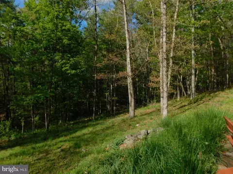 55 Hunter Ln, Mathias, WV 26812 photo 44