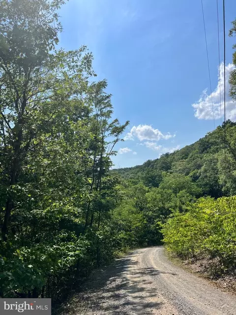 48 Highland Spring Rd, Old Fields, WV 26845 photo 5
