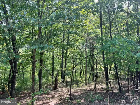 48 Highland Spring Rd, Old Fields, WV 26845 photo 4