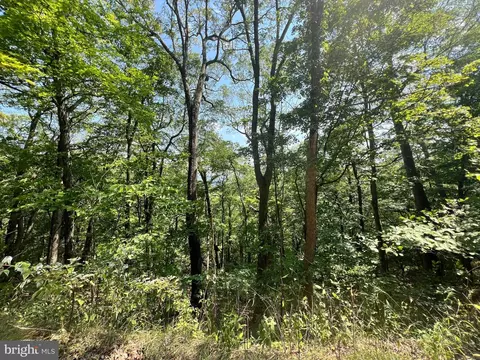 48 Highland Spring Rd, Old Fields, WV 26845 photo 8