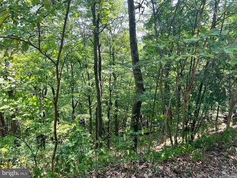 48 Highland Spring Rd, Old Fields, WV 26845 photo 9