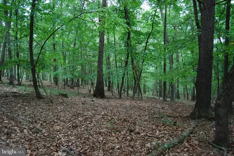 Winterberry Drive, Moorefield, WV 26836