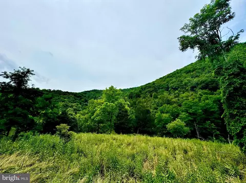 tbd Dumpling Run Rd, Moorefield, WV 26836 photo 6