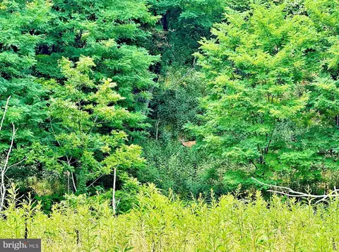 tbd Dumpling Run Rd, Moorefield, WV 26836 photo 25
