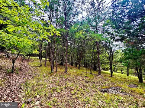 tbd Dumpling Run Rd, Moorefield, WV 26836 photo 5