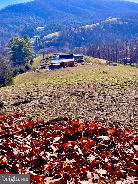 80 Comfort Point Dr, Mathias, WV 26812