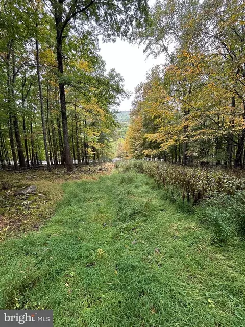 Upper Cove Road, Mathias, WV 26812