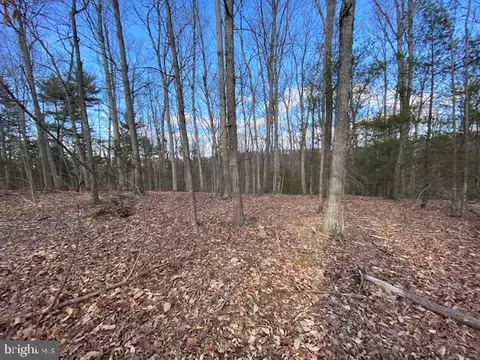 lot25 Slate Rock Slate Rock Pass Rd, Wardensville, WV 26851