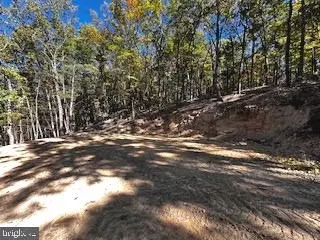 0 Lower Arkansas Rd, Baker, WV 26801