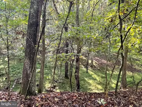 Other - 652 High Knob Rd, Old Fields, WV 26845 photo 15 of 16