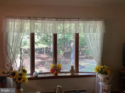 Other - 652 High Knob Rd, Old Fields, WV 26845 photo 5 of 16