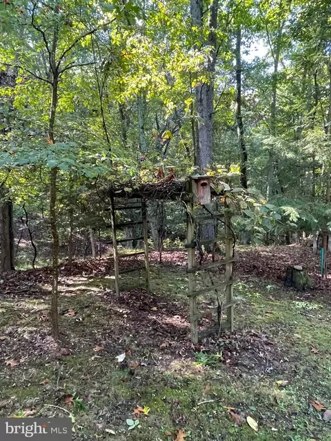 Exterior - 652 High Knob Rd, Old Fields, WV 26845 photo 8 of 9