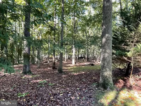 Other - 652 High Knob Rd, Old Fields, WV 26845 photo 16 of 16