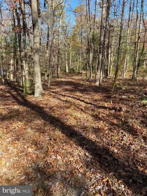 3 Cub Road, Wardensville, WV 26851