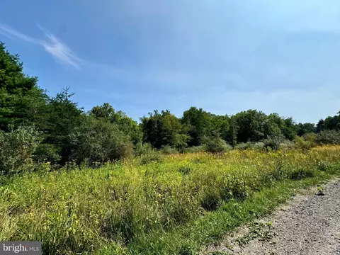 lot48 Warden Hollow S-d Lk, Wardensville, WV 26851