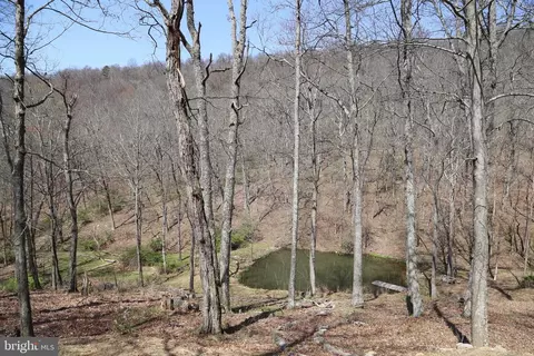 View/Area - 4423 High Knob Rd, Old Fields, WV 26845 photo 1 of 2